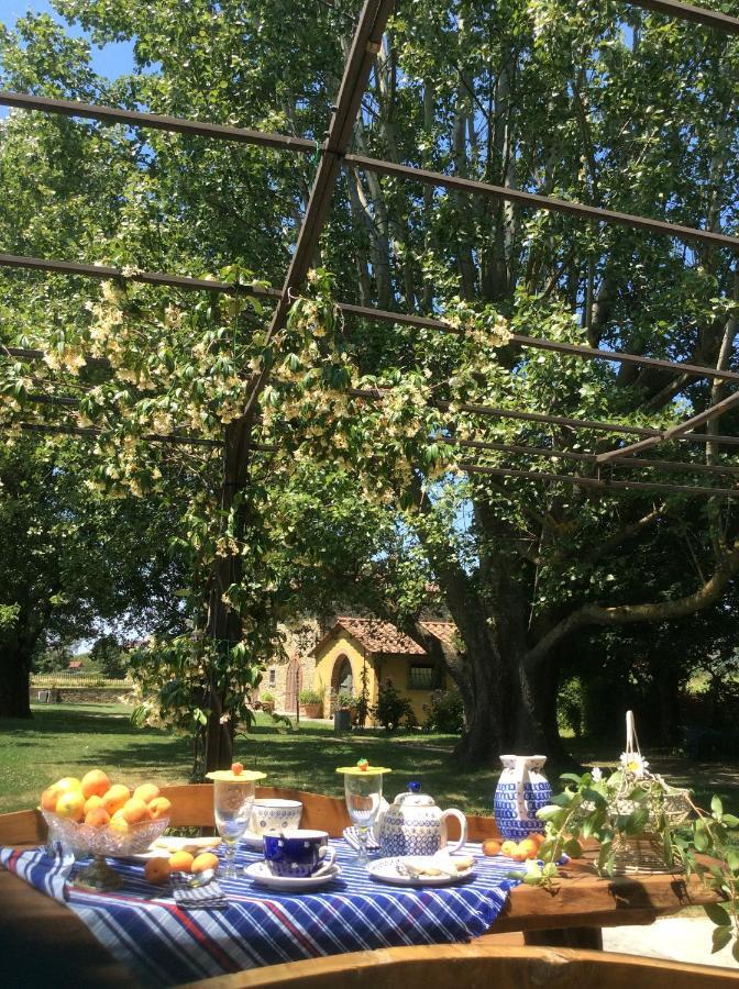 Villa Podere Il Giardino Castiglion Fiorentino Eksteriør billede